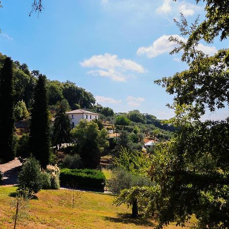 Agriturismo Terra Volonteri Montecatini Terme Kültér fotó