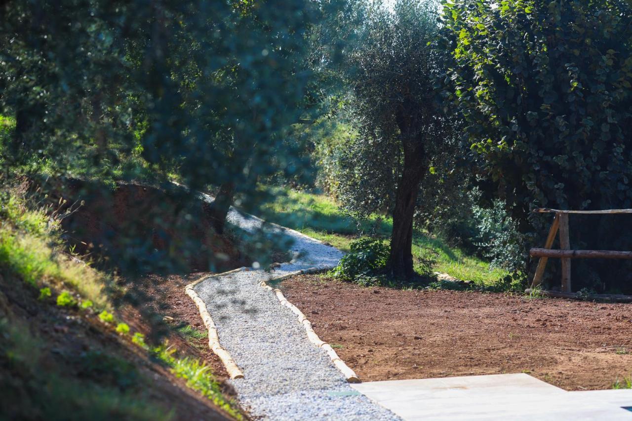Agriturismo Terra Volonteri Montecatini Terme Kültér fotó