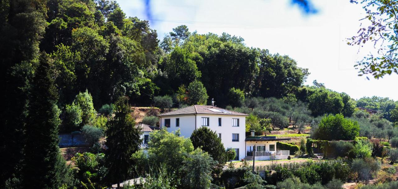 Agriturismo Terra Volonteri Montecatini Terme Kültér fotó