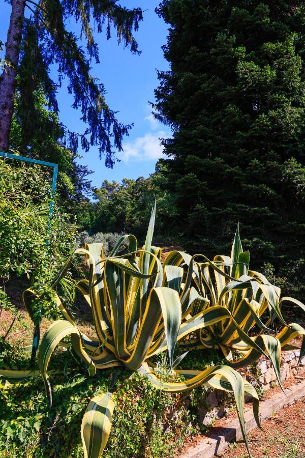 Agriturismo Terra Volonteri Montecatini Terme Kültér fotó