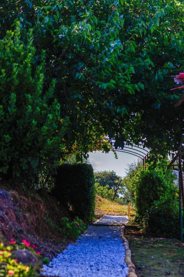 Agriturismo Terra Volonteri Montecatini Terme Kültér fotó