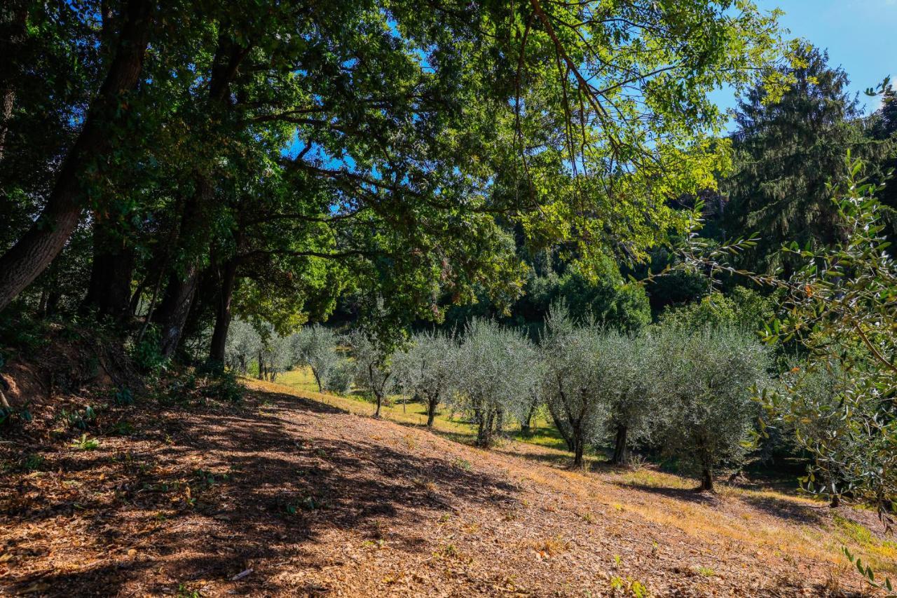 Agriturismo Terra Volonteri Montecatini Terme Kültér fotó