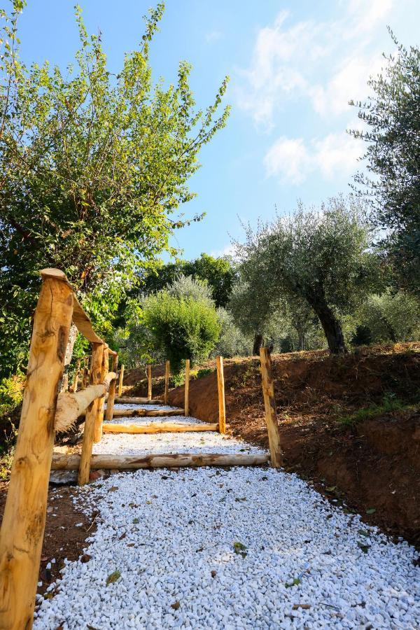 Agriturismo Terra Volonteri Montecatini Terme Kültér fotó