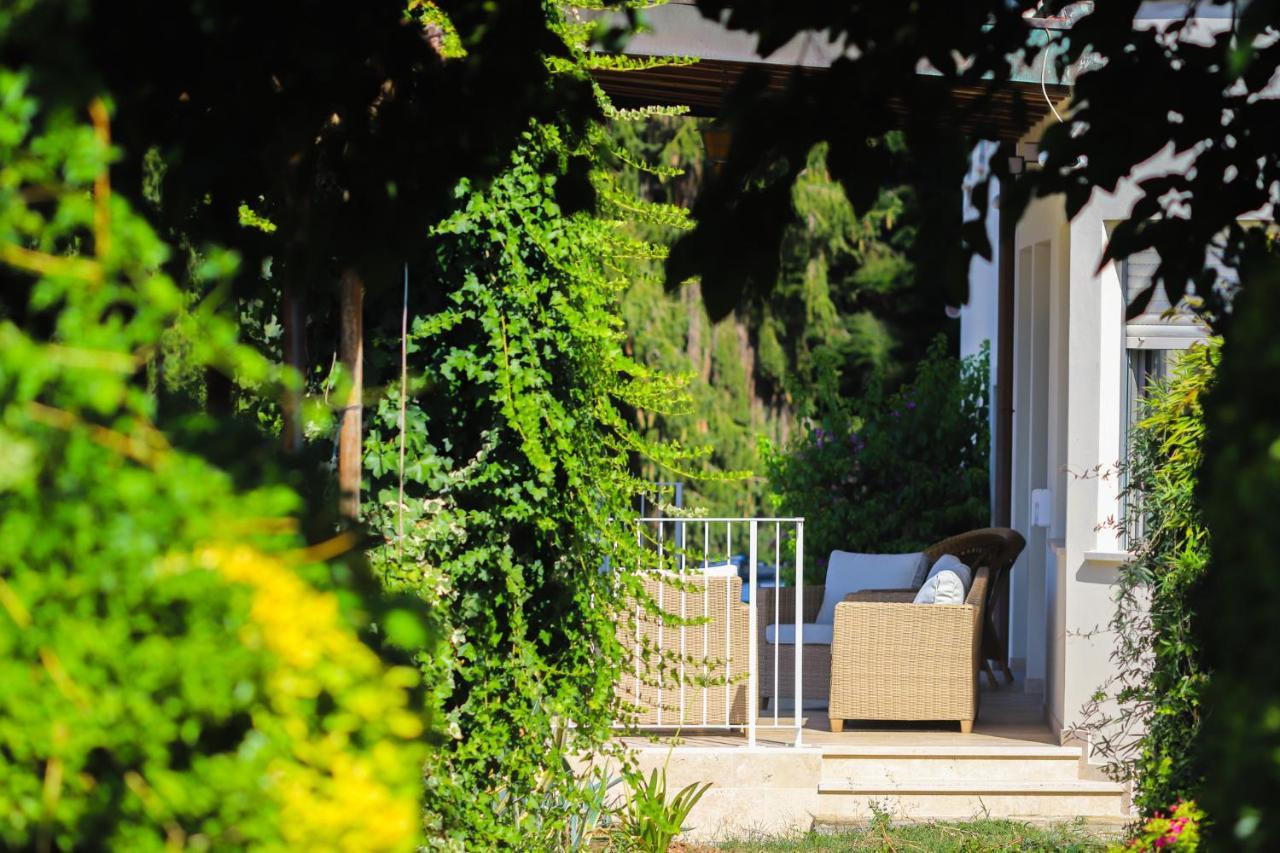 Agriturismo Terra Volonteri Montecatini Terme Kültér fotó