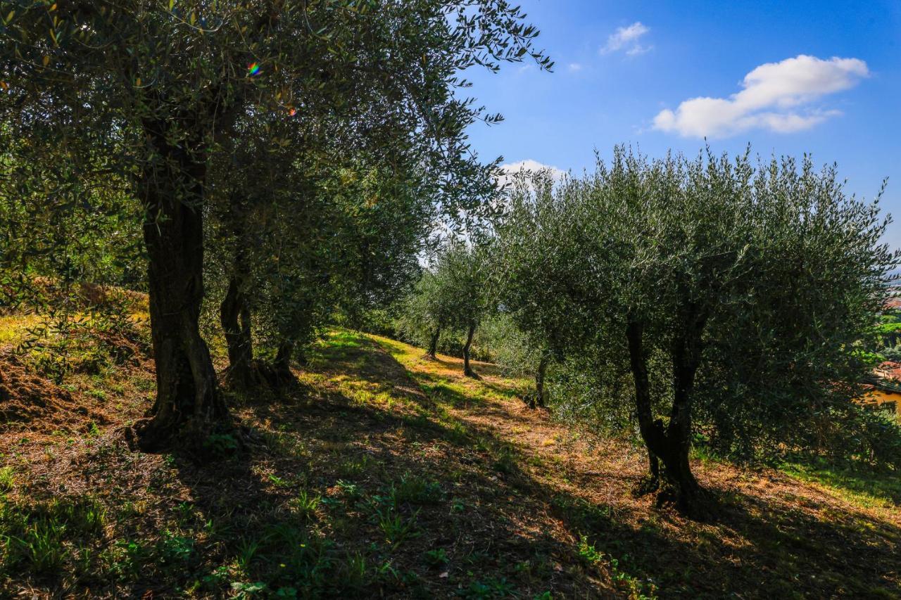 Agriturismo Terra Volonteri Montecatini Terme Kültér fotó