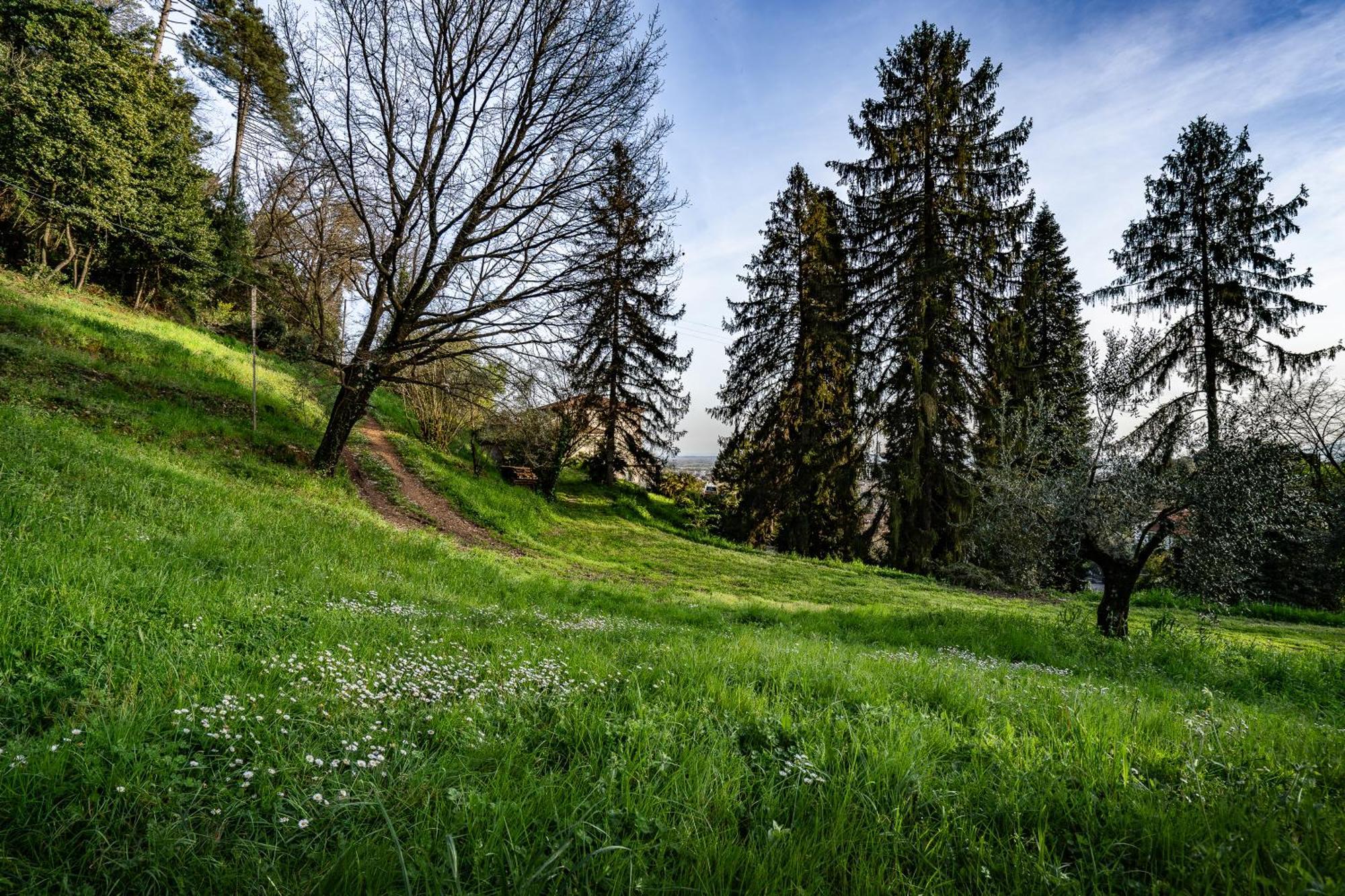 Agriturismo Terra Volonteri Montecatini Terme Kültér fotó